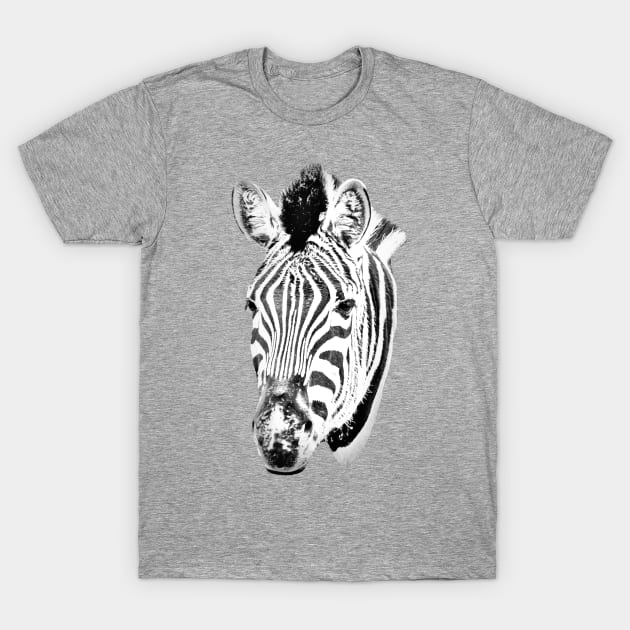 Drawing conversion of a Zebra T-Shirt by dalyndigaital2@gmail.com